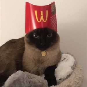 Meet your Posher, Colorado